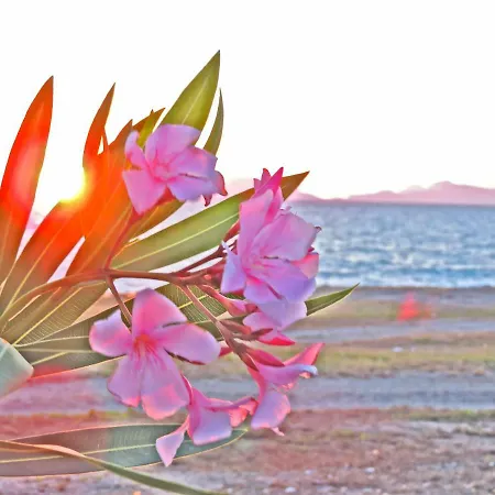 Holiday home Casa Turi Milazzo
