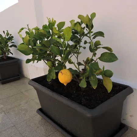 Casa Turi Holiday home Milazzo